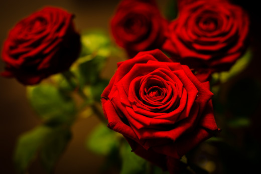 811287 (a): :2048x1365